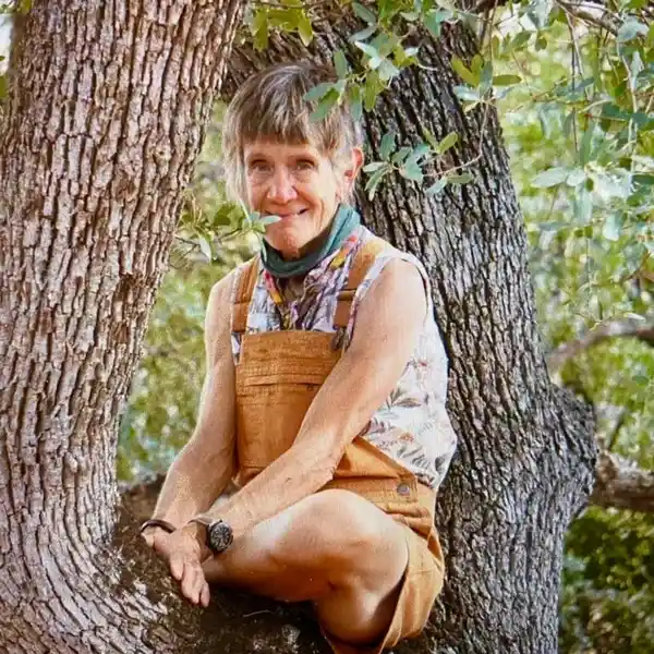 A woman sitting on top of a tree.