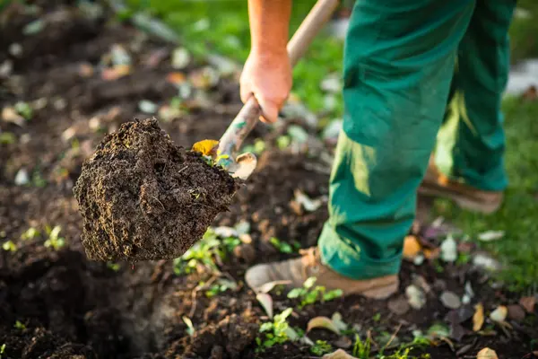 A person digging in the ground with a shovel.