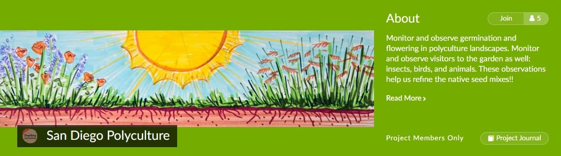 inaturalist_SD Polyculture