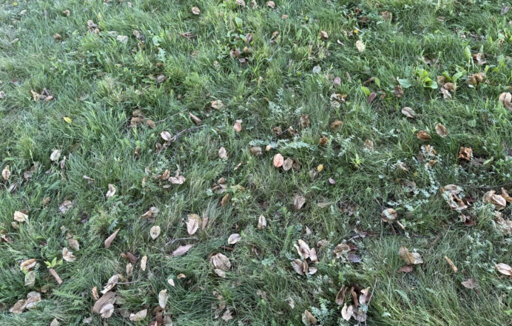 20CA9047-96CB-4090-A4EA-B0F06455B8C0