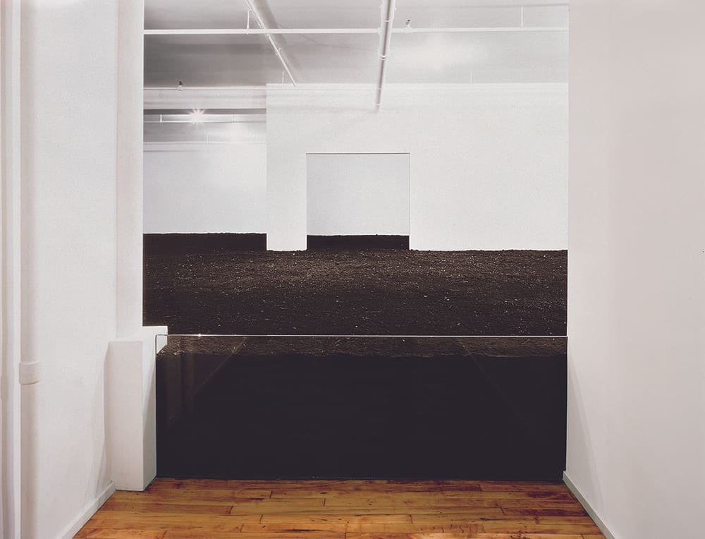 EarthRoom (1)