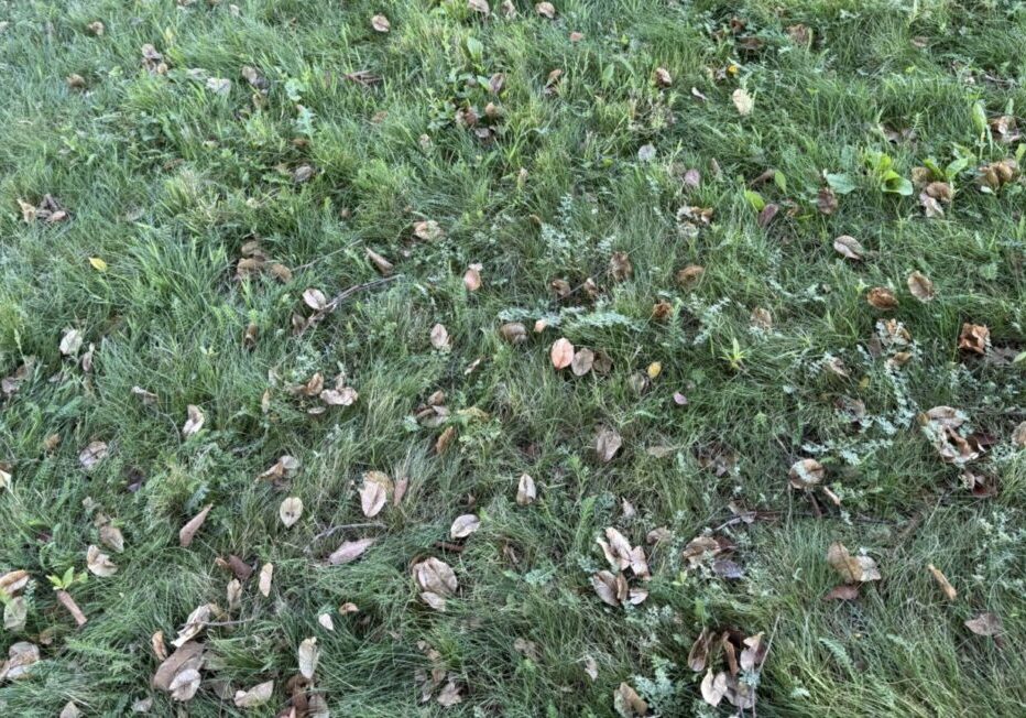 20CA9047-96CB-4090-A4EA-B0F06455B8C0