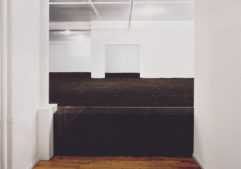 EarthRoom (1)